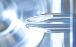 Show details for ClinMass® Complete Kit, advanced, for Methylmalonic Acid in Serum/Plasma/Urine Picture of ClinMass® Complete Kit, advanced, for Methylmalonic Acid in Serum/Plasma/Urine